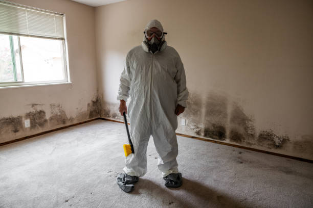 Mold Remediation for Rental Properties in Brinkley, AR